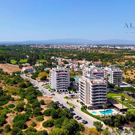 Alma Olive By Alma Collection * 포티마오